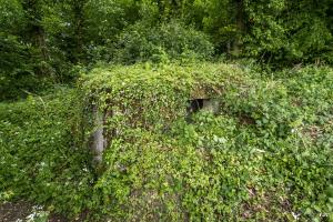 Ligne Maginot - ROUTE DE L'HIMERTEN CENTRE 1 - (Blockhaus pour arme infanterie) - 