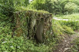 Ligne Maginot - ROUTE DE L'HIMERTEN CENTRE 1 - (Blockhaus pour arme infanterie) - 