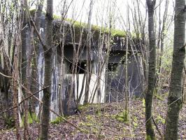 Ligne Maginot - A38 - GRAND MARAIS OUEST - (Casemate d'infanterie) - 