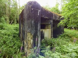 Ligne Maginot - A38 - GRAND MARAIS OUEST - (Casemate d'infanterie) - 