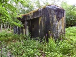 Ligne Maginot - A38 - GRAND MARAIS OUEST - (Casemate d'infanterie) - 