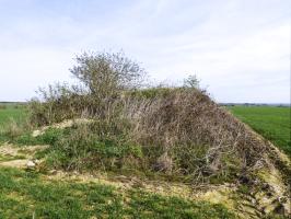 Ligne Maginot - B786 - FERME BEAUVOIR - (Observatoire d'infanterie) - 