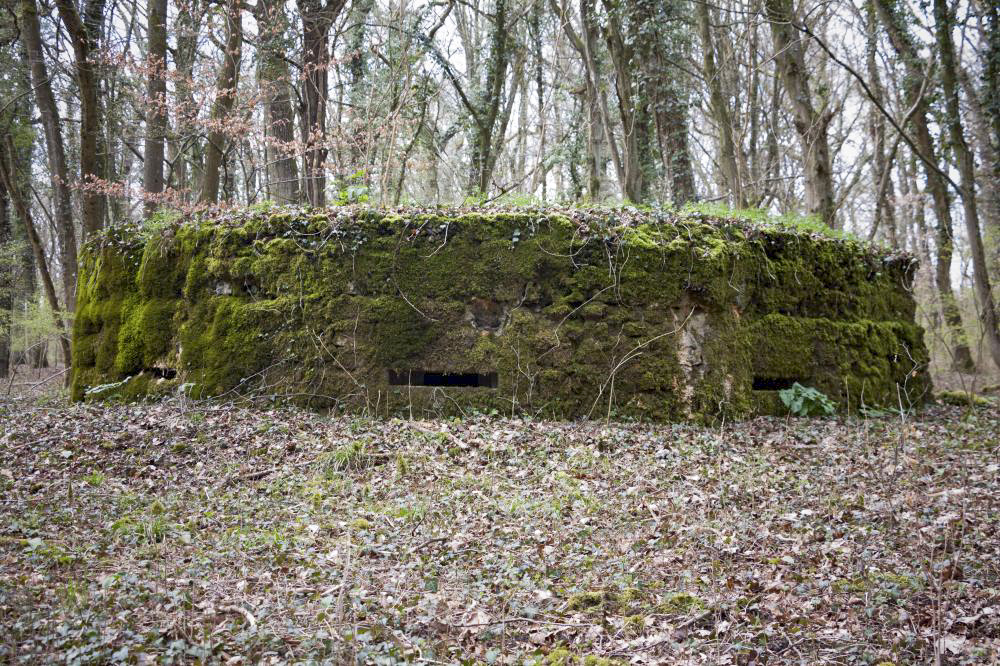 Ligne Maginot - BOIS DE TETING 3 - (Blockhaus pour arme infanterie) - Poste observatoire et tir