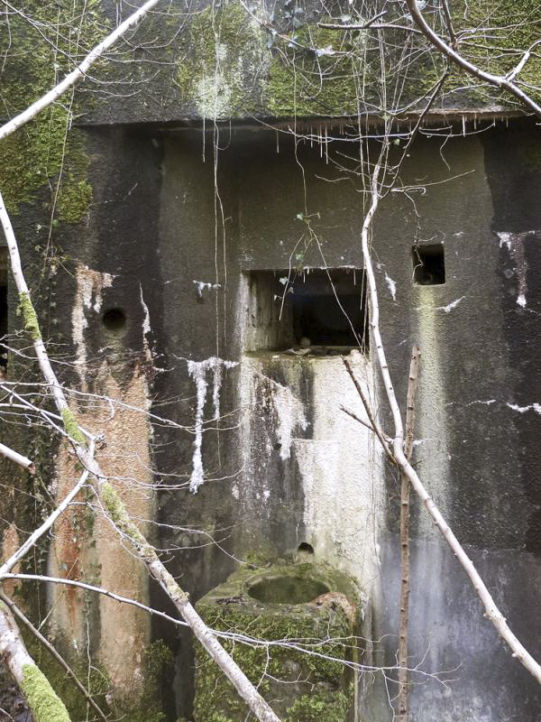 Ligne Maginot - A34 - GRAVIER DU BOIS - (Casemate d'infanterie) - 