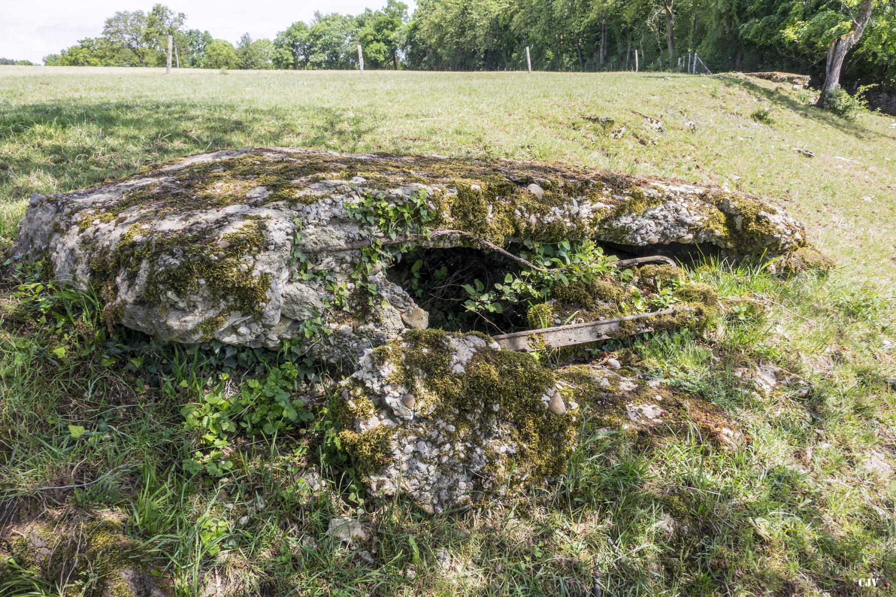 Ligne Maginot - PETERSHECKE 5 - (Observatoire d'infanterie) - 