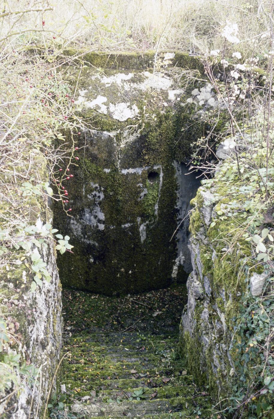 Ligne Maginot - PETERSHECKE - (Central téléphonique d'observation) - 