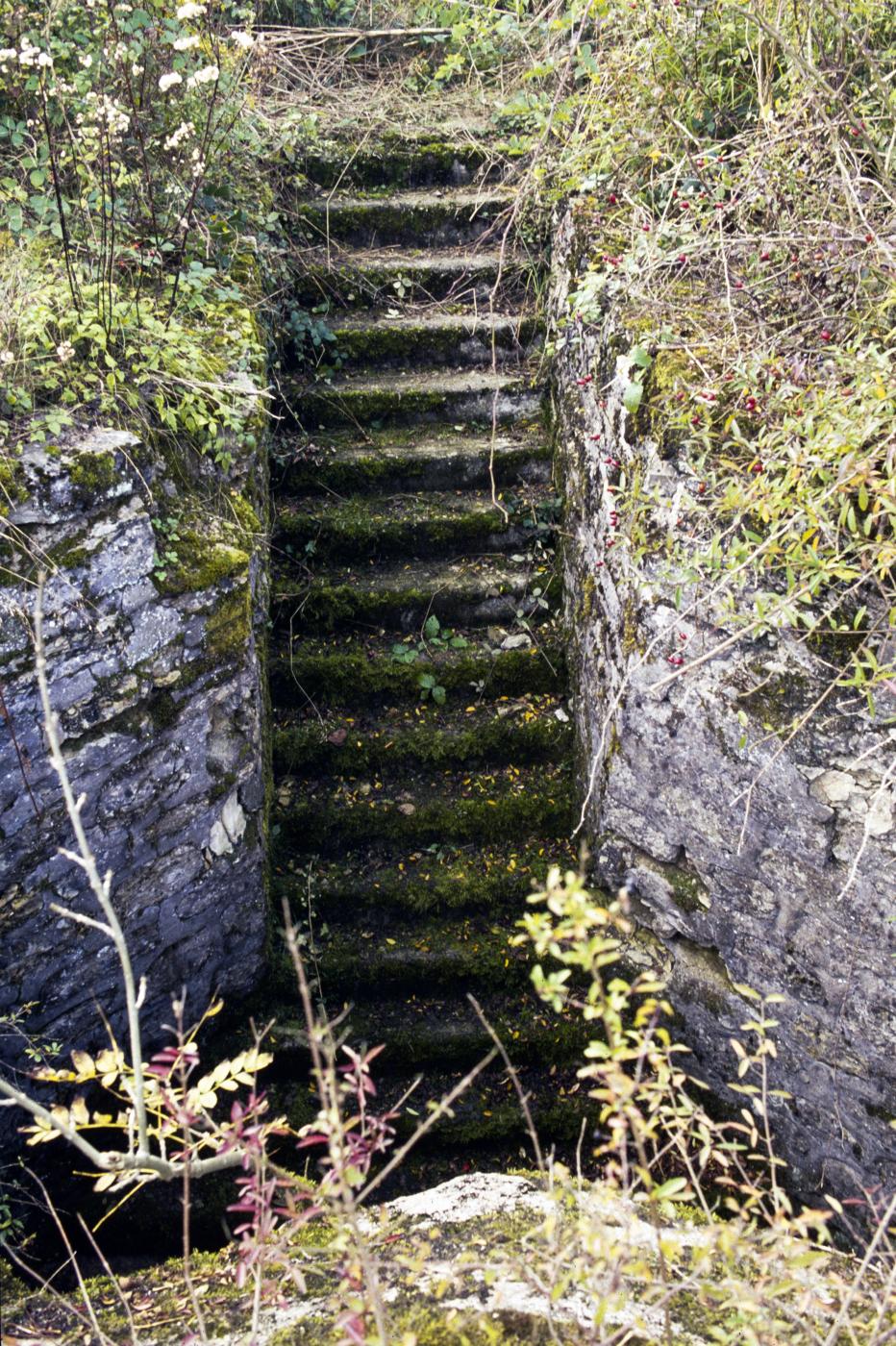 Ligne Maginot - PETERSHECKE - (Central téléphonique d'observation) - 