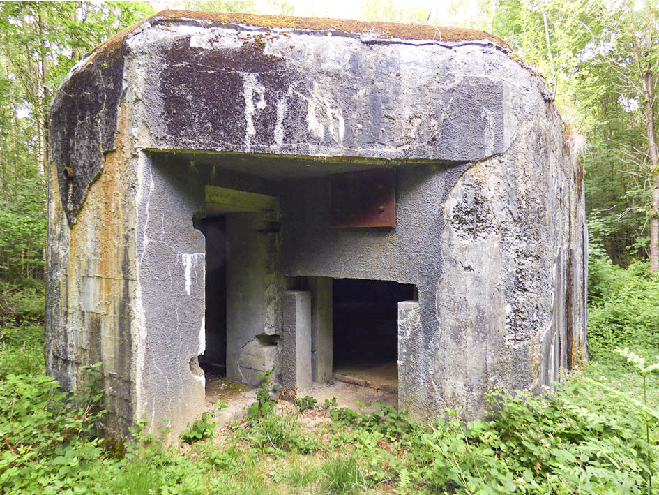 Ligne Maginot - A38 - GRAND MARAIS OUEST - (Casemate d'infanterie) - 