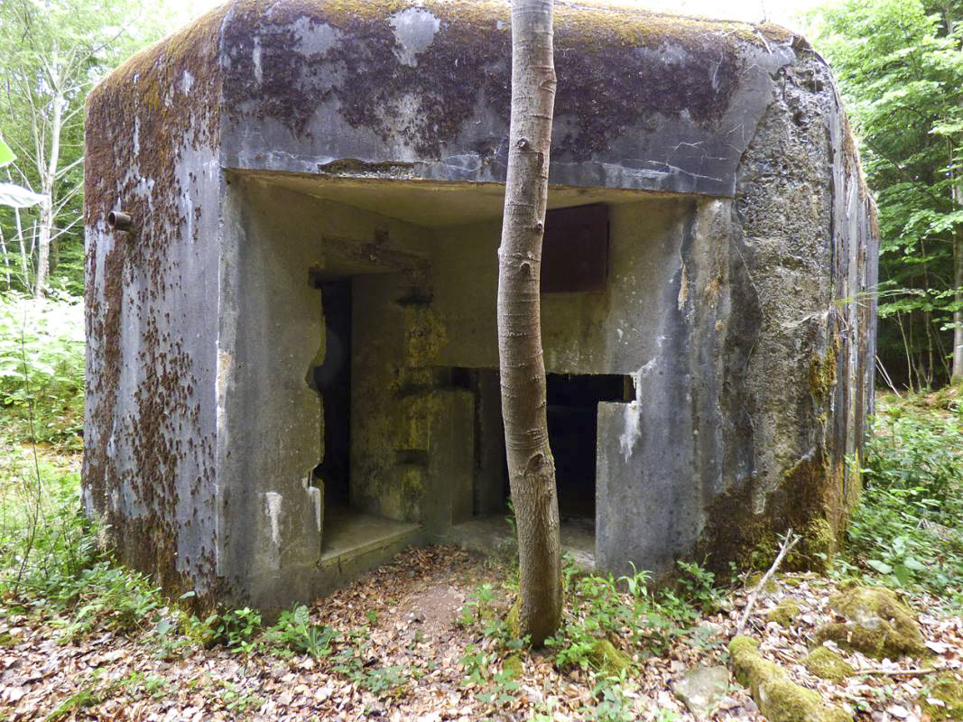 Ligne Maginot - A39 - GRAND MARAIS EST - (Casemate d'infanterie) - 