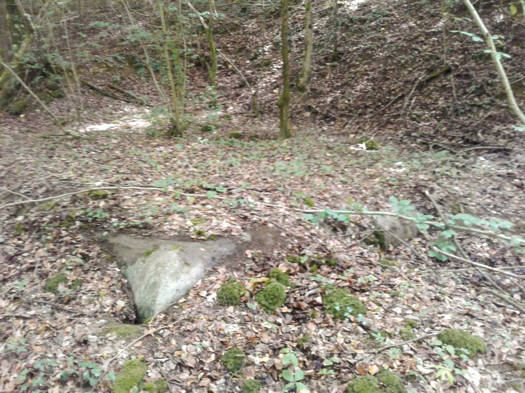 Ligne Maginot - LA VIGNETTE - (Chambre de coupure) - Le massif bétonné est visible, faiblement recouvert.