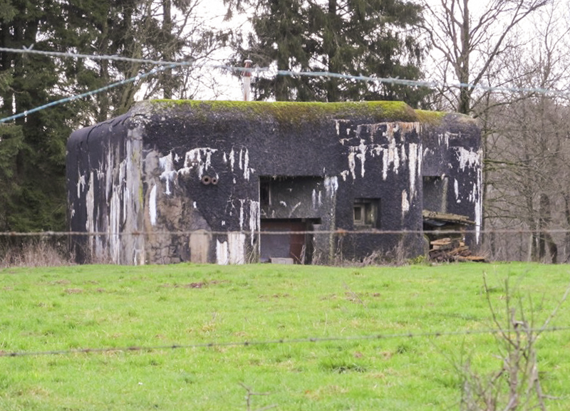 Ligne Maginot - Blcokhaus A42 - CROIX MAJOT Sud - 