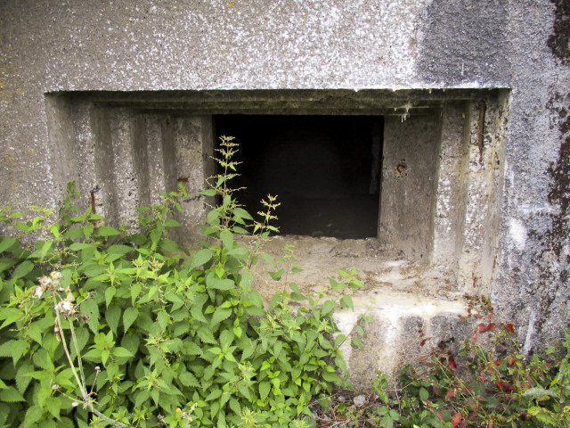 Ligne Maginot - A42 - ROUTE DE SIGNY - (Casemate d'infanterie) - 