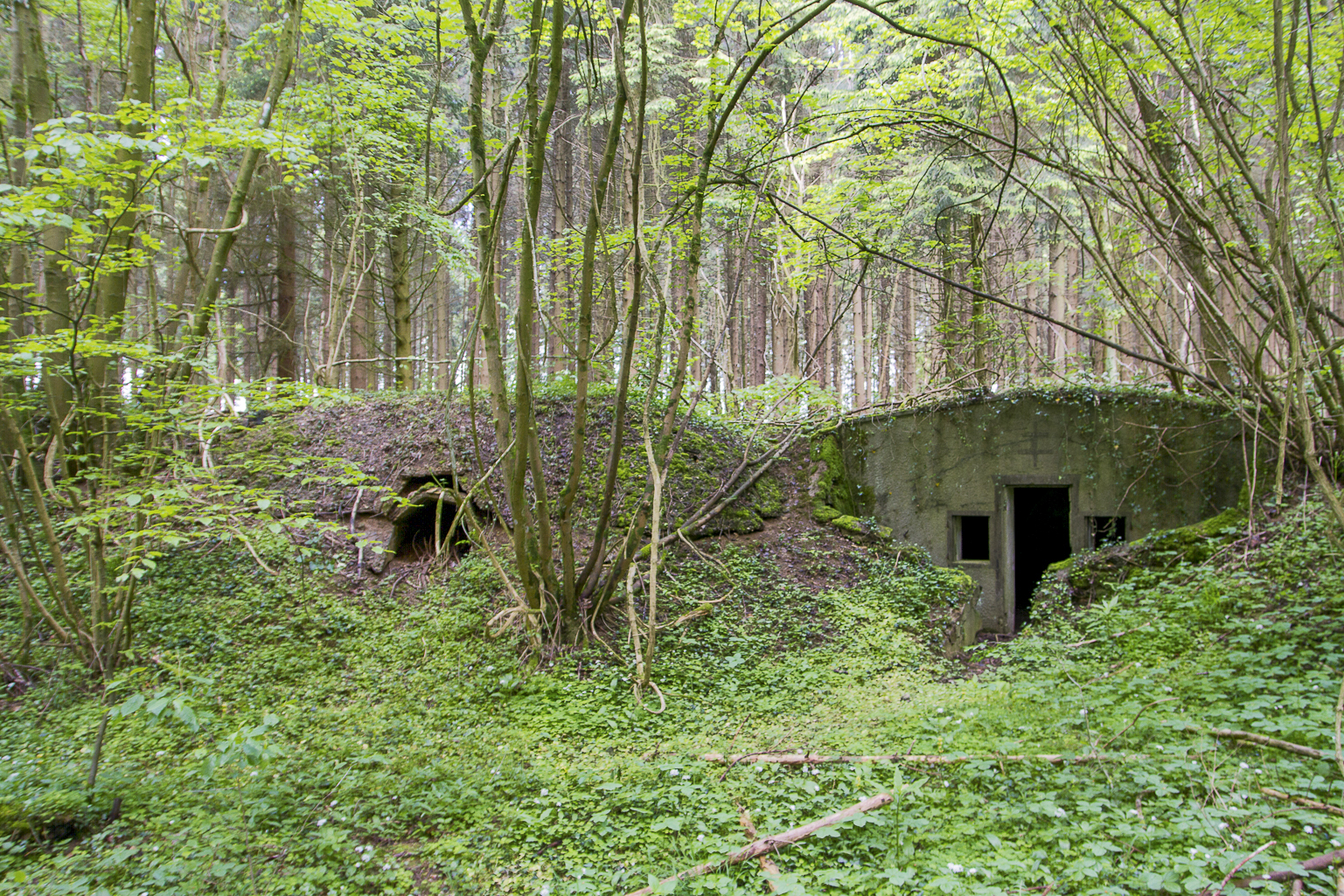 Ligne Maginot - GRAND LOH (6° CM) - (PC de Sous-Quartier) - Noter la niche de stockage sur la gauche de l'abri