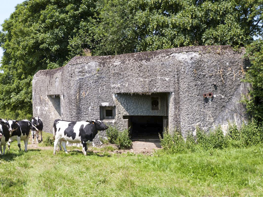 Ligne Maginot - A43 - CROIX MAJOT NORD - (Casemate d'infanterie) - 