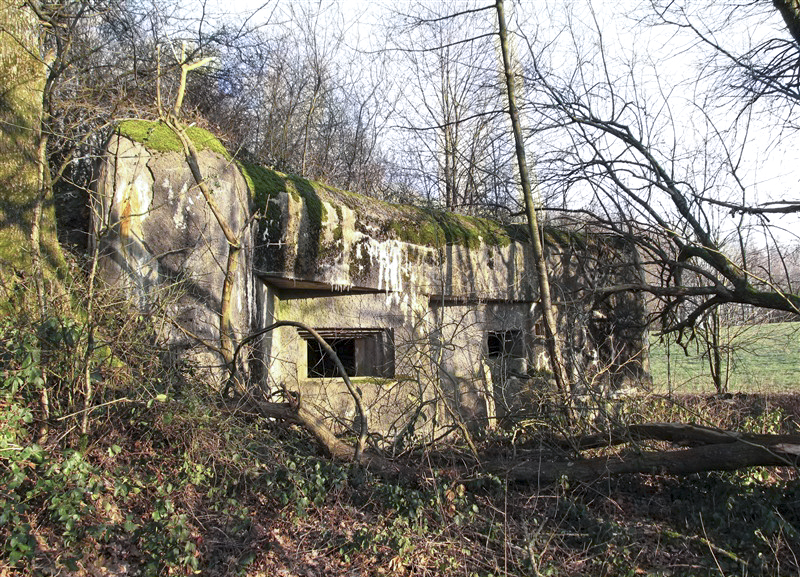 Ligne Maginot - A44 - REGNIOWEZ - (Casemate d'infanterie) - 