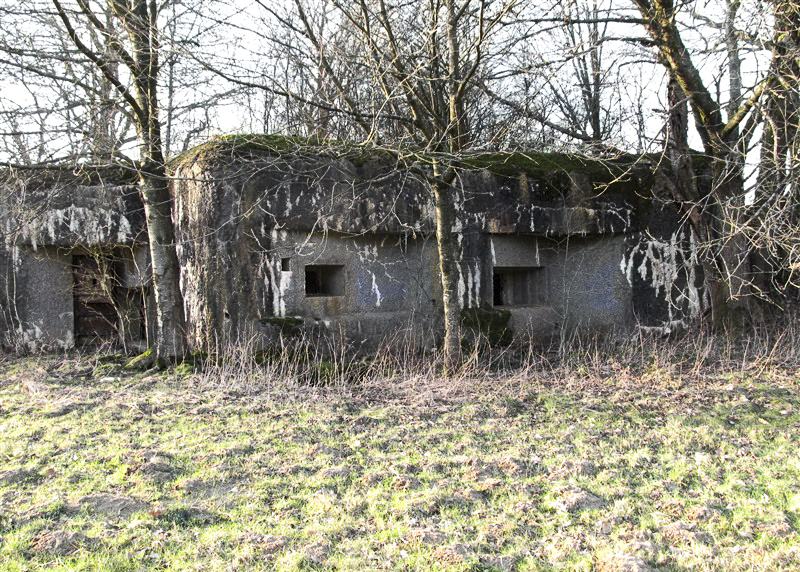 Ligne Maginot - A44 - REGNIOWEZ - (Casemate d'infanterie) - 