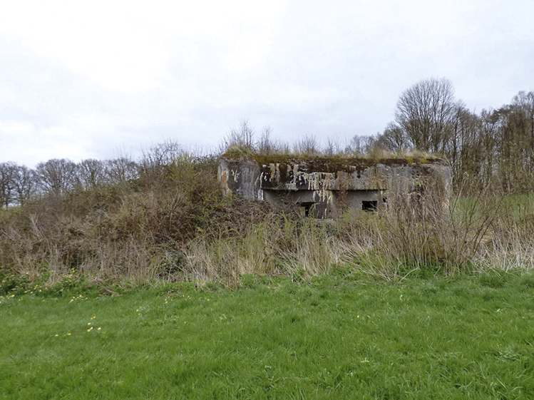 Ligne Maginot - A44 - REGNIOWEZ - (Casemate d'infanterie) - 