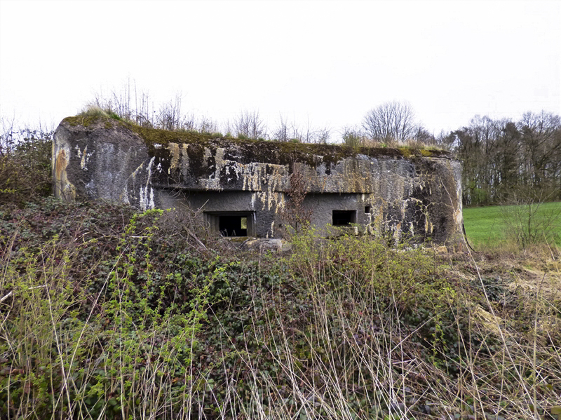 Ligne Maginot - A44 - REGNIOWEZ - (Casemate d'infanterie) - 