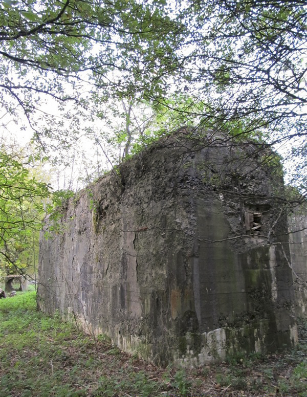 Ligne Maginot - A46 - CHATEAU ROUGE EST - (Casemate d'infanterie - Simple) - 