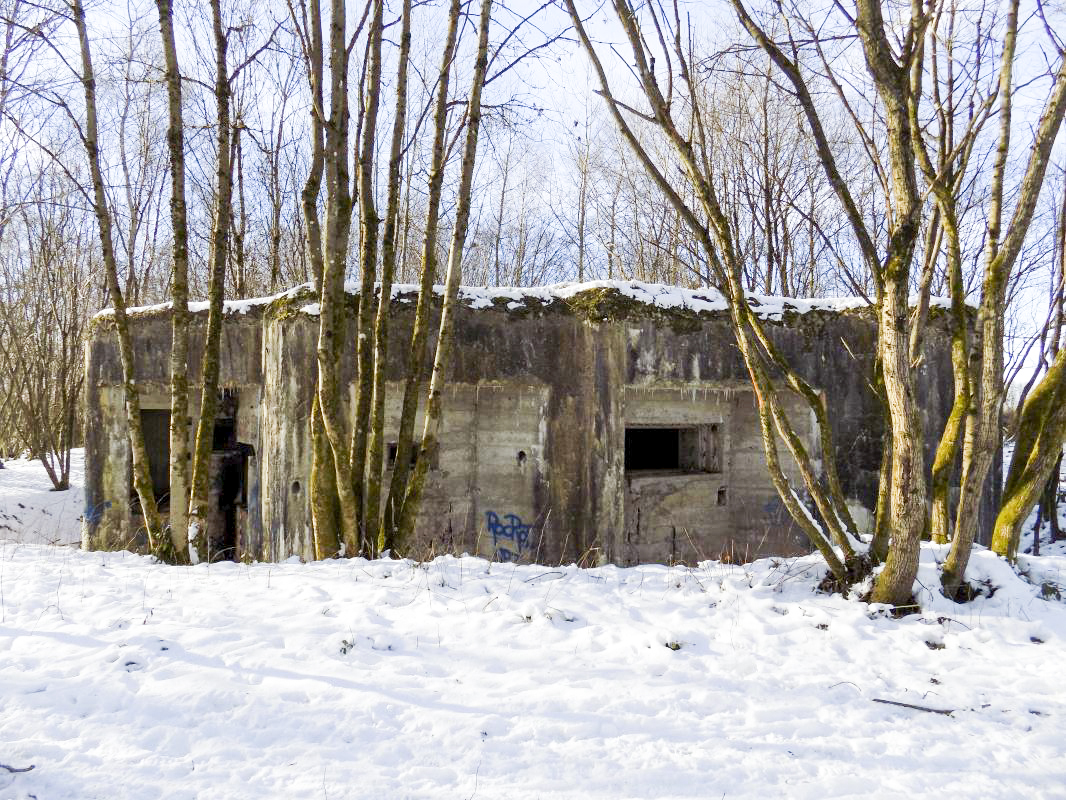 Ligne Maginot - A54 - CROIX BLONDEAU - (Casemate d'infanterie - Simple) - Les entrées et face frontale