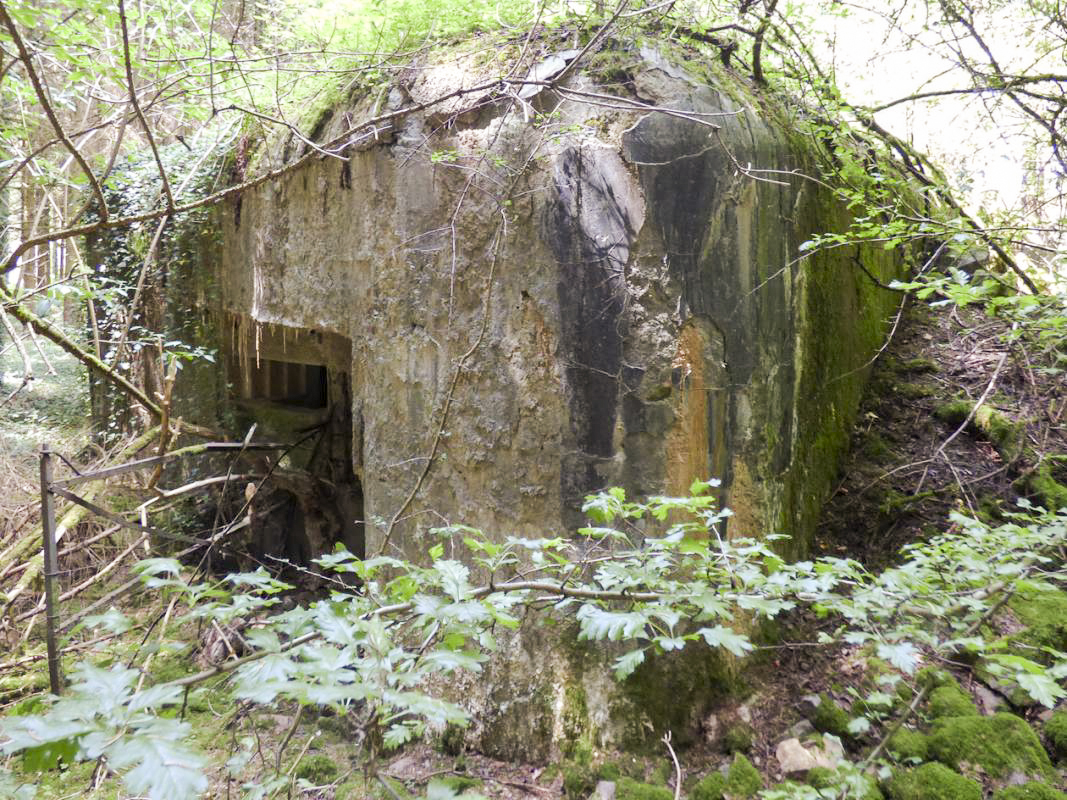 Ligne Maginot - A116 - LES ANORELLES - (Casemate d'infanterie - Simple) - L'entrée du matériel et l'arrière du blockhaus