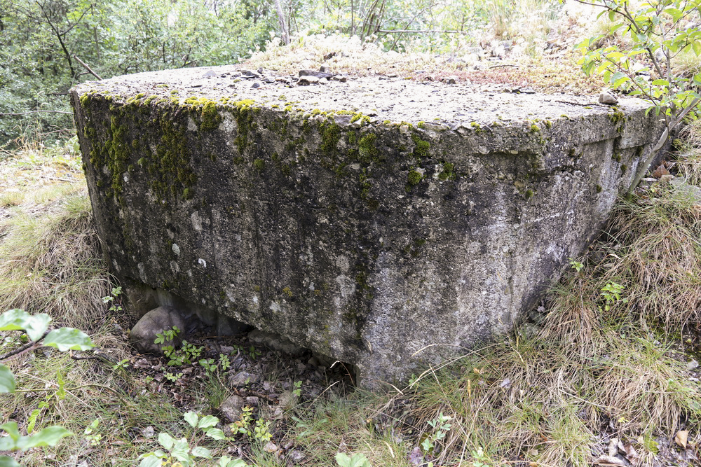 Ligne Maginot - Blockhaus de PRELLES - Les ANDRIEUX - 