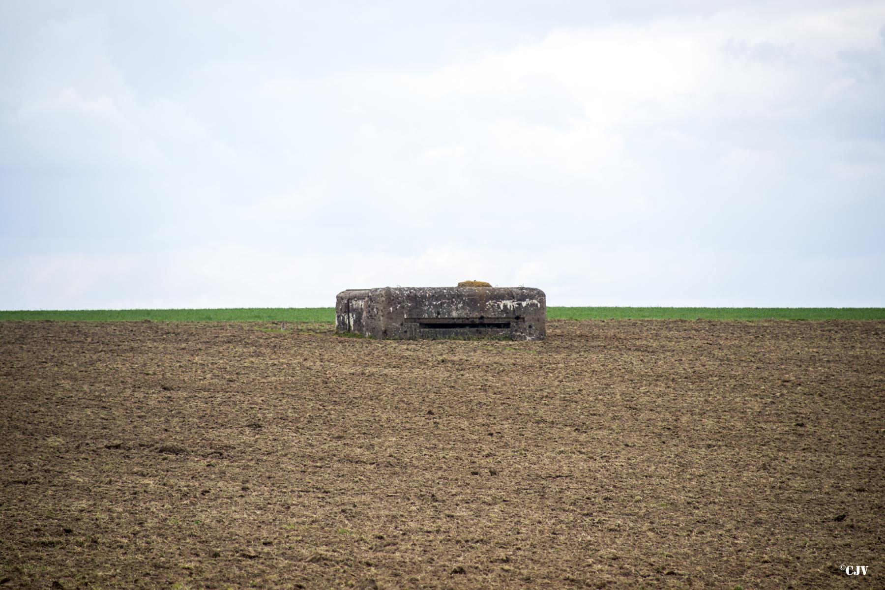 Ligne Maginot - B781 - FERME BEAULIEU - (Observatoire d'infanterie) - 