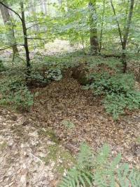 Ligne Maginot - WALDECKER HUBEL - (PC de Sous-Quartier) - Trace d'un abri entre les tranchées