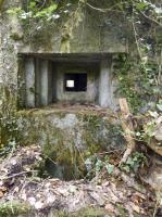 Ligne Maginot - B808 - BOIS DES AISEMENTS - (Blockhaus pour canon) - L'embrasure FM située entre les flanquements