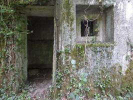 Ligne Maginot - B808 - BOIS DES AISEMENTS - (Blockhaus pour canon) - L'entrée et son embrasure FM de défense