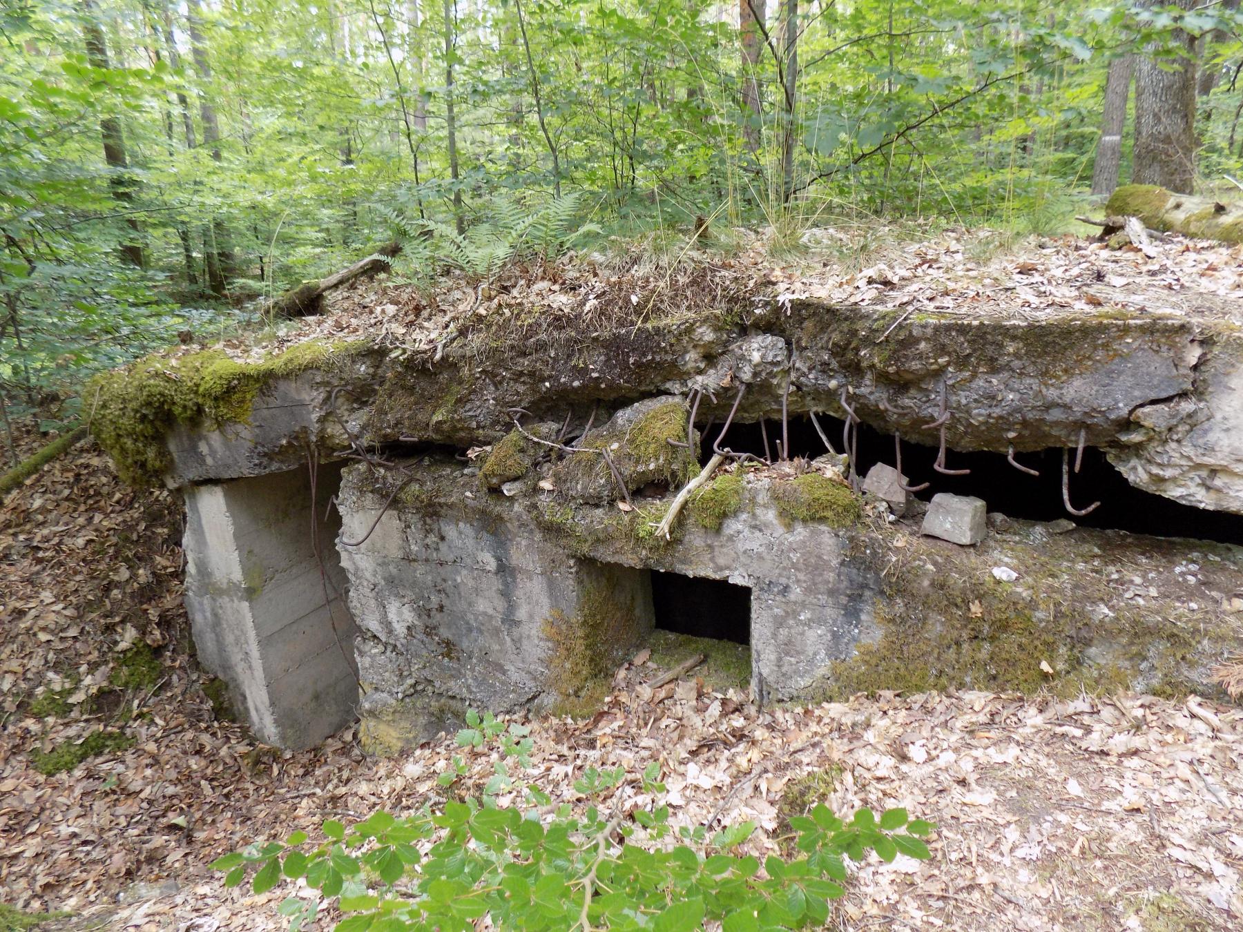 Ligne Maginot - WALDECKER HUBEL - (PC de Sous-Quartier) - Première alvéole
Vue arrière avec accès et ouverture