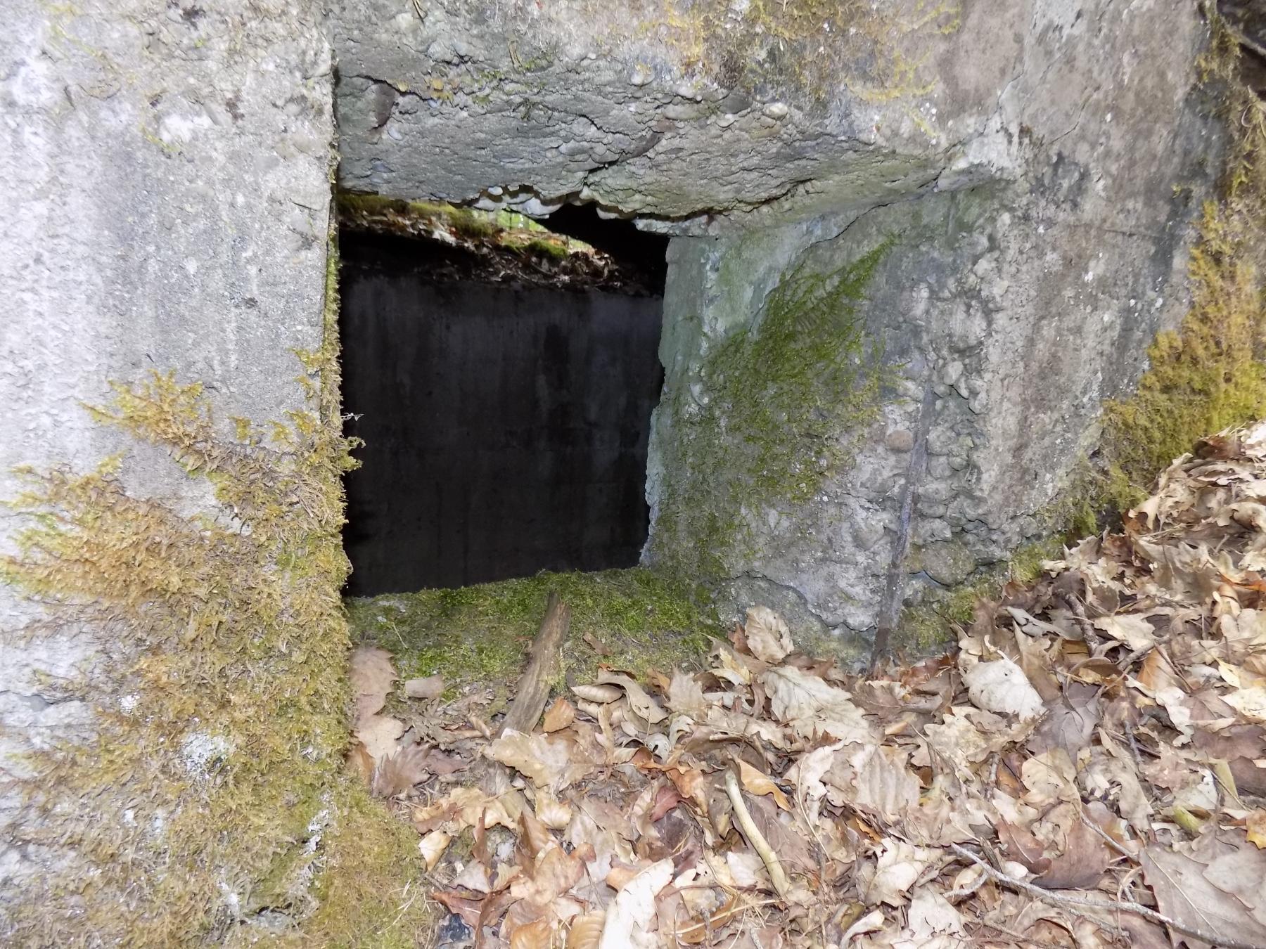 Ligne Maginot - WALDECKER HUBEL - (PC de Sous-Quartier) - Première alvéole
Ouverture coté foret