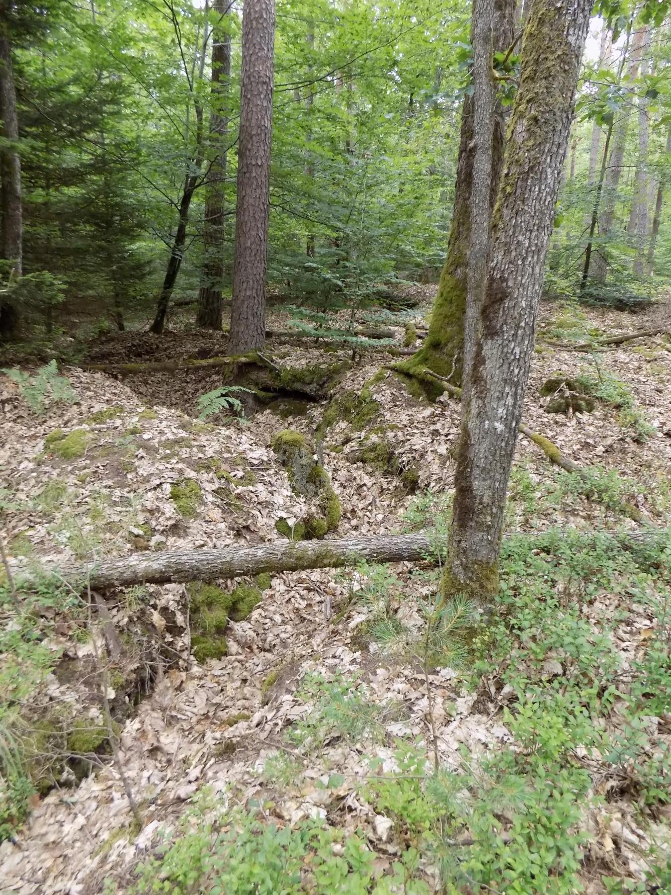 Ligne Maginot - WALDECKER HUBEL - (PC de Sous-Quartier) - Tranchée entre la poste et l'arrière vers l'observatoire du Grand Steinberg et vers les PC de Hanau ouest et centre