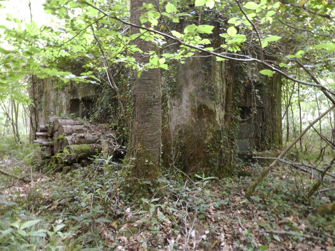 Ligne Maginot - B808 - BOIS DES AISEMENTS - (Blockhaus pour canon) - Le flanquement gauche et l'embrasure FM latérale gauche