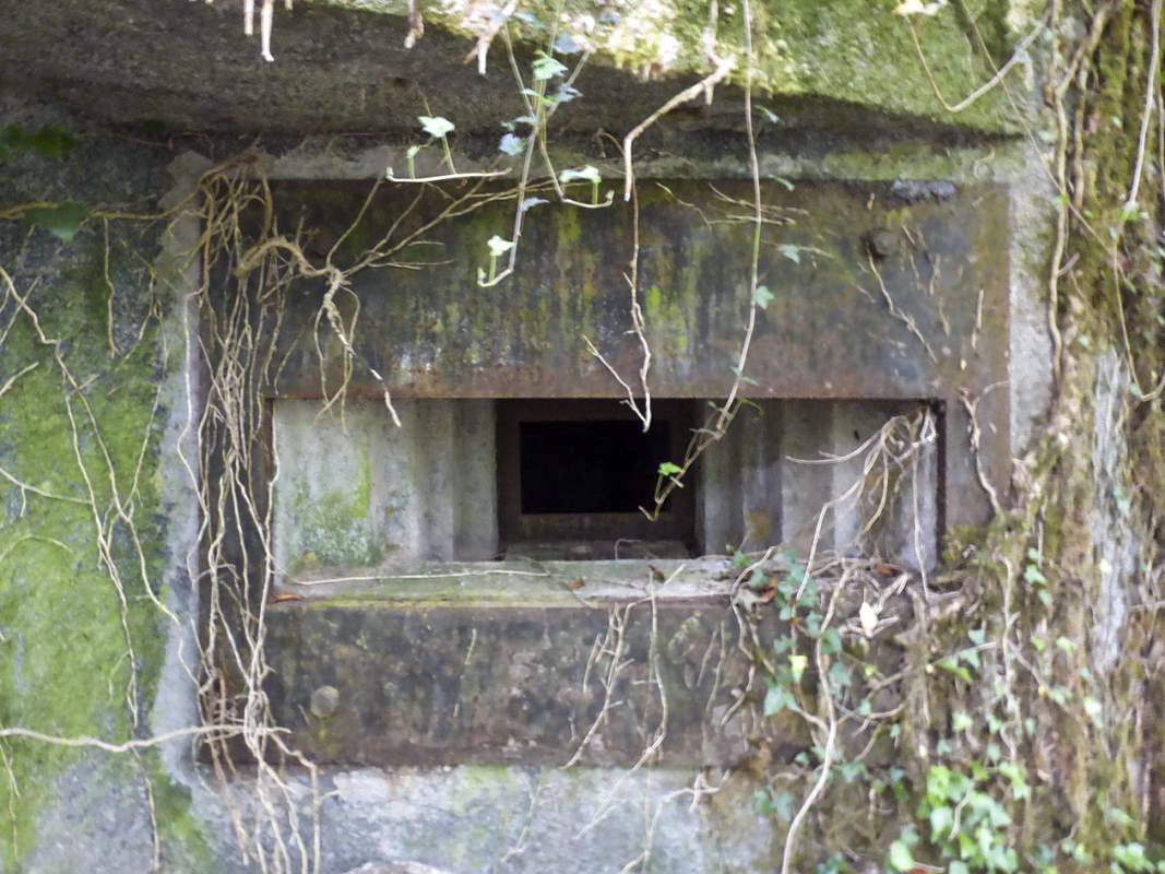 Ligne Maginot - B808 - BOIS DES AISEMENTS - (Blockhaus pour canon) - Le flanquement gauche et son embrasure