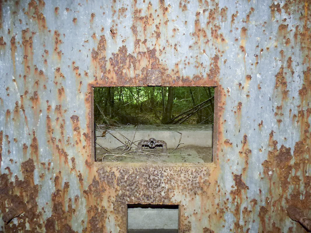 Ligne Maginot - B808 - BOIS DES AISEMENTS - (Blockhaus pour canon) - La chambre de tir
Côté flanquement gauche - Embrasure et son volet