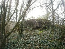 Ligne Maginot - BA2 - ETANG DE NEUVE-FORGE - (Blockhaus pour canon) - 