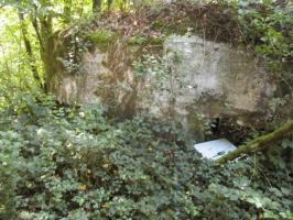 Ligne Maginot - BA2 - ETANG DE NEUVE-FORGE - (Blockhaus pour canon) - 