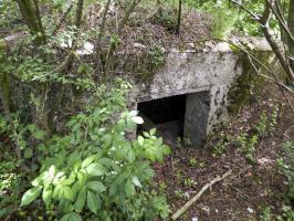Ligne Maginot - BA2 - ETANG DE NEUVE-FORGE - (Blockhaus pour canon) - 