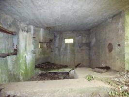 Ligne Maginot - BA2 - ETANG DE NEUVE-FORGE - (Blockhaus pour canon) - 