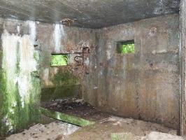 Ligne Maginot - BA2 - ETANG DE NEUVE-FORGE - (Blockhaus pour canon) - 