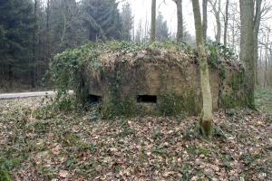 Ligne Maginot - BA12 - ROUTE DU CONSERVATEUR OUEST - (Blockhaus pour canon) - 