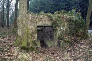 Ligne Maginot - BA12 - ROUTE DU CONSERVATEUR OUEST - (Blockhaus pour canon) - 