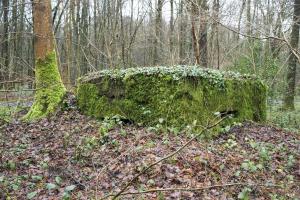 Ligne Maginot - BA22 - ROUTE FORESTIÈRE MEUNIER NORD - (Blockhaus pour arme infanterie) - 