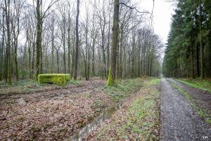 Ligne Maginot - BA23 - ROUTE FORESTIÈRE MEUNIER SUD - (Blockhaus pour arme infanterie) - 