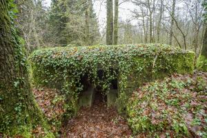 Ligne Maginot - BA27 - WATIGNY NORD - (Blockhaus pour canon) - 