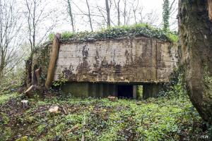 Ligne Maginot - BA37 - LE PAVILLON NORD - (Blockhaus pour canon) - 