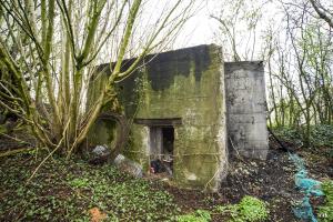 Ligne Maginot - BA38 - LE PAVILLON SUD - (Observatoire d'infanterie) - 