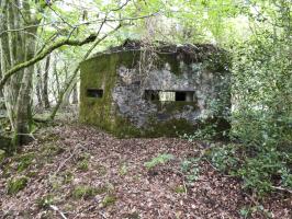 Ligne Maginot - BA50 - ALLÉE DES CHEVREUILS - (Blockhaus pour arme infanterie) - 