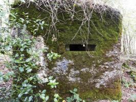 Ligne Maginot - BA50 - ALLÉE DES CHEVREUILS - (Blockhaus pour arme infanterie) - 